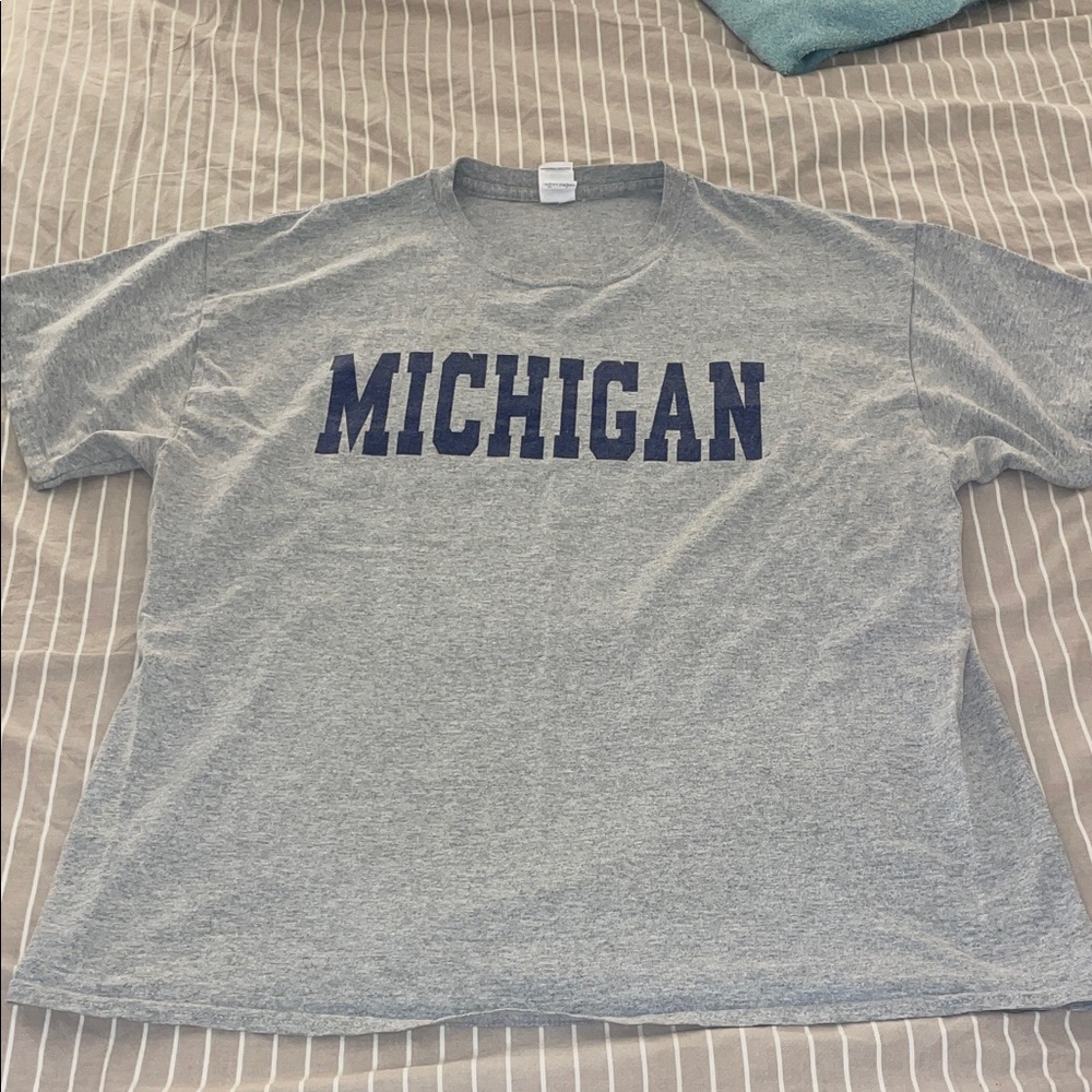 Gray Michigan Men's T-Shirt